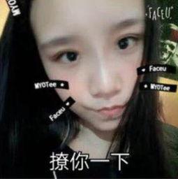 最新网友爆料视频下载软件,最新网友爆料视频下载神器，一键下载，畅享无界！